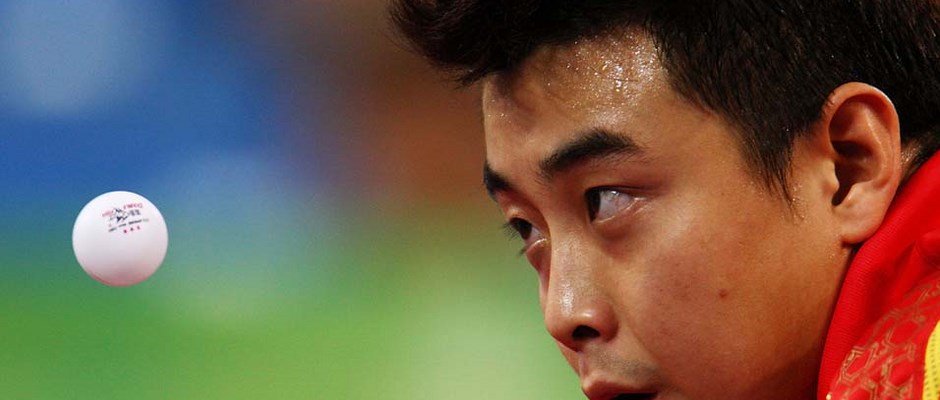 Fusce porta bibendum