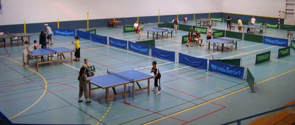 Pellentesque lacinia mauris